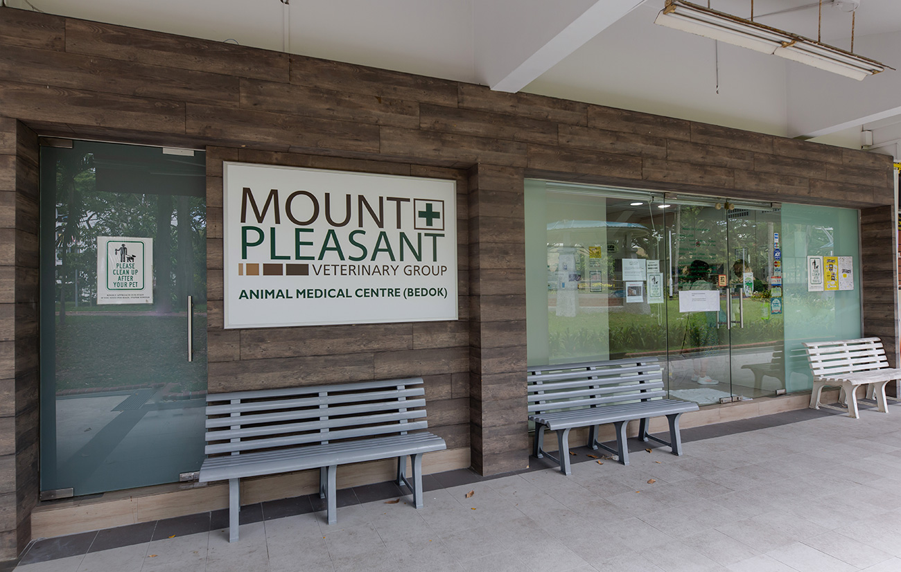 Mount Pleasant Bedok Centre Gallery 1