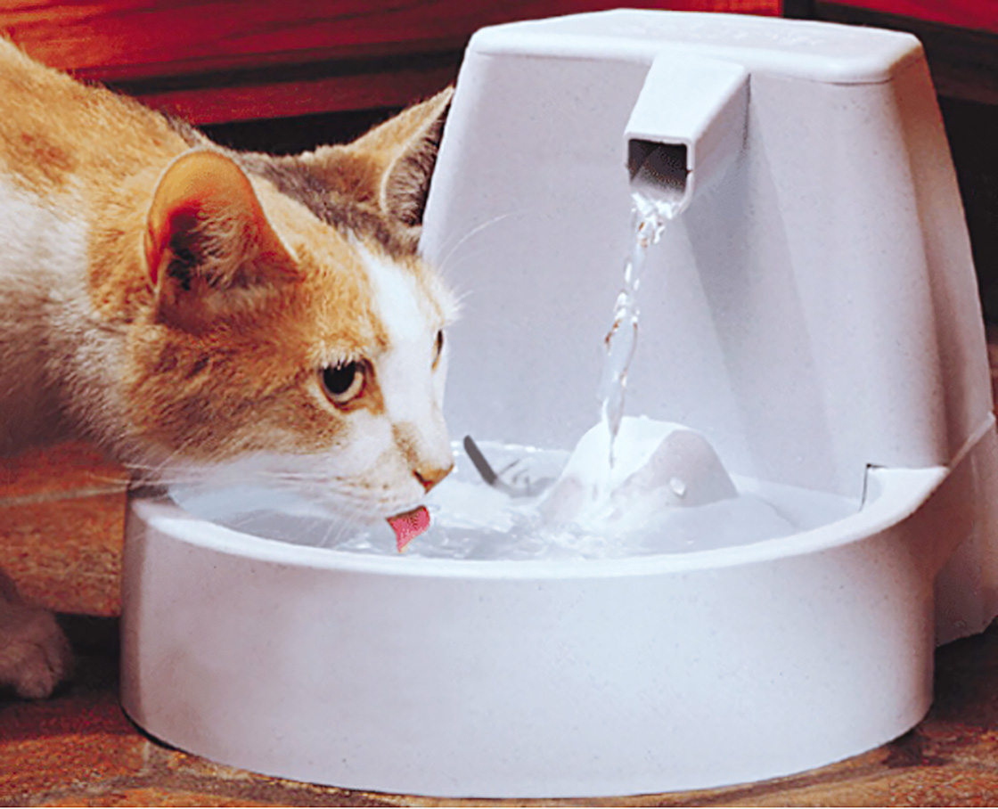 A calico cat drinking water from a white pet fountain.