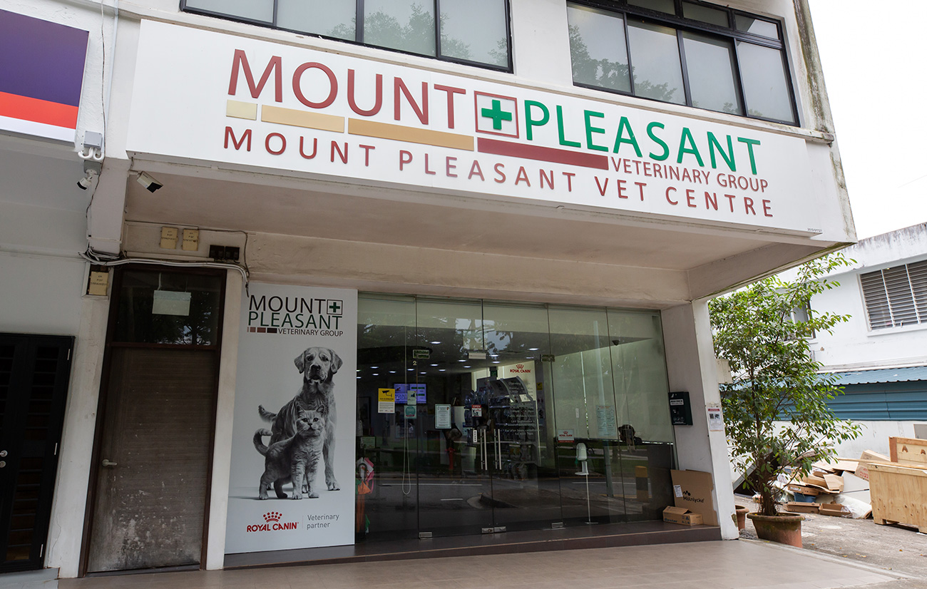 Mount Pleasant Gelenggang Gallery 1