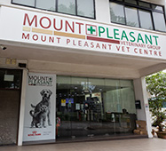 Mount Pleasant Gelenggang Gallery Thumbnail 1