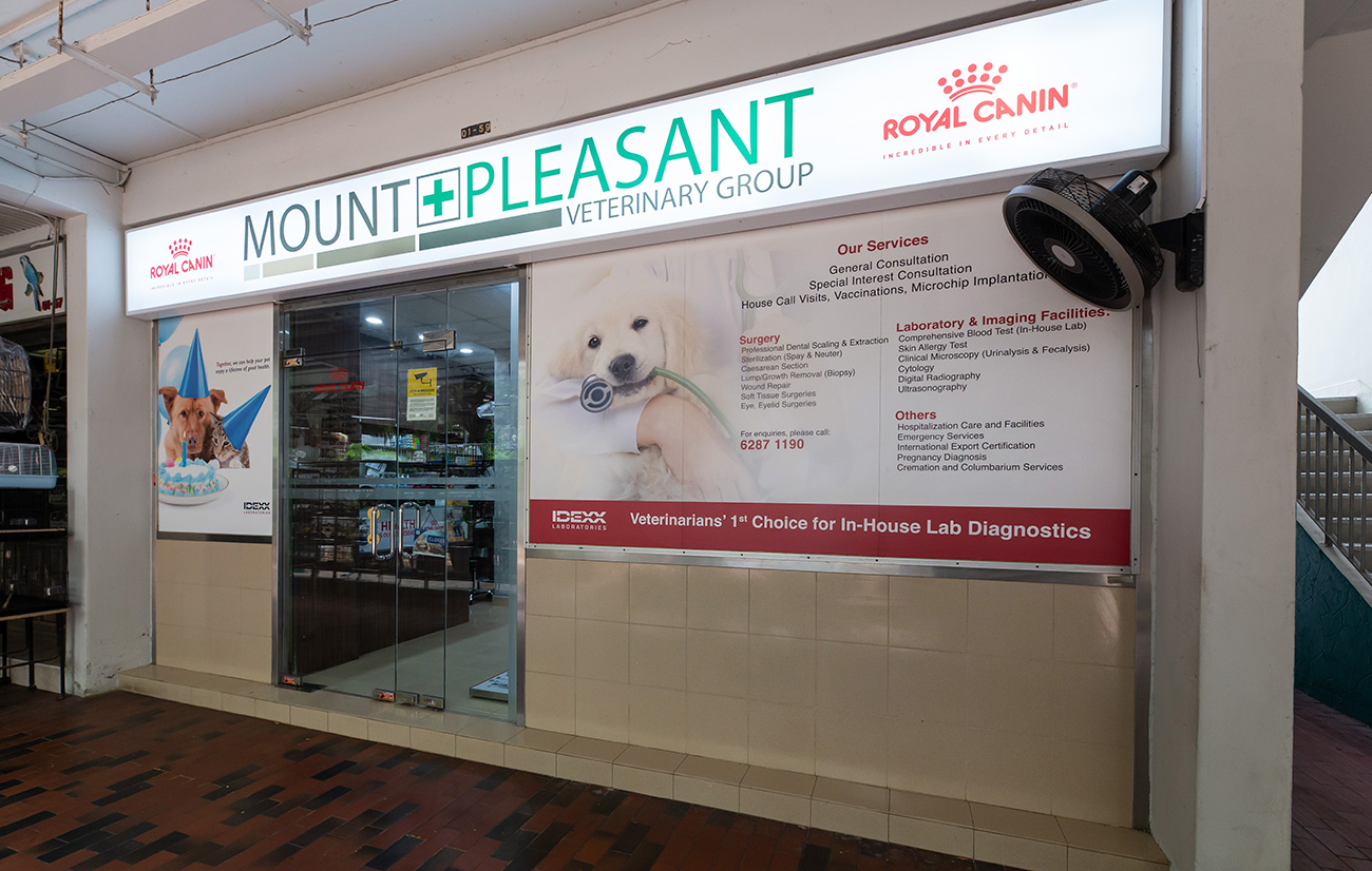 Mount Pleasant North Gallery 1