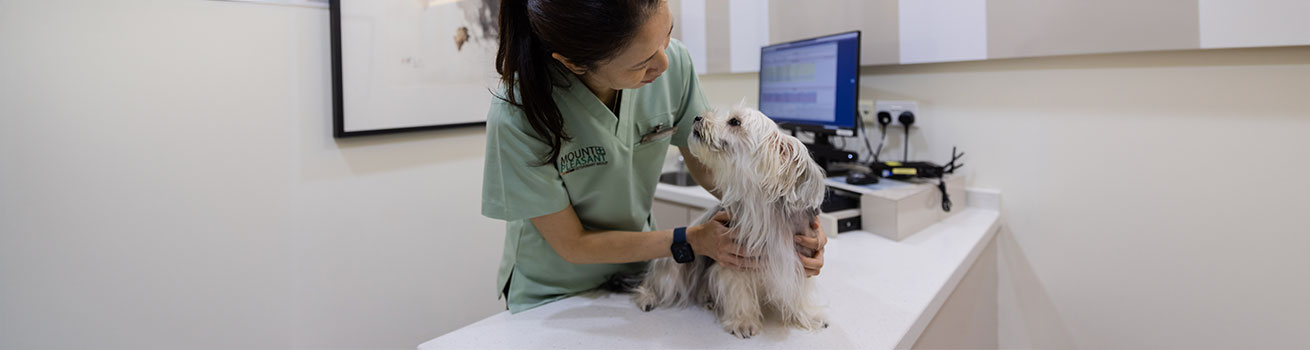 Itch treatment, resolving food allergies, treating atopic dermatitis