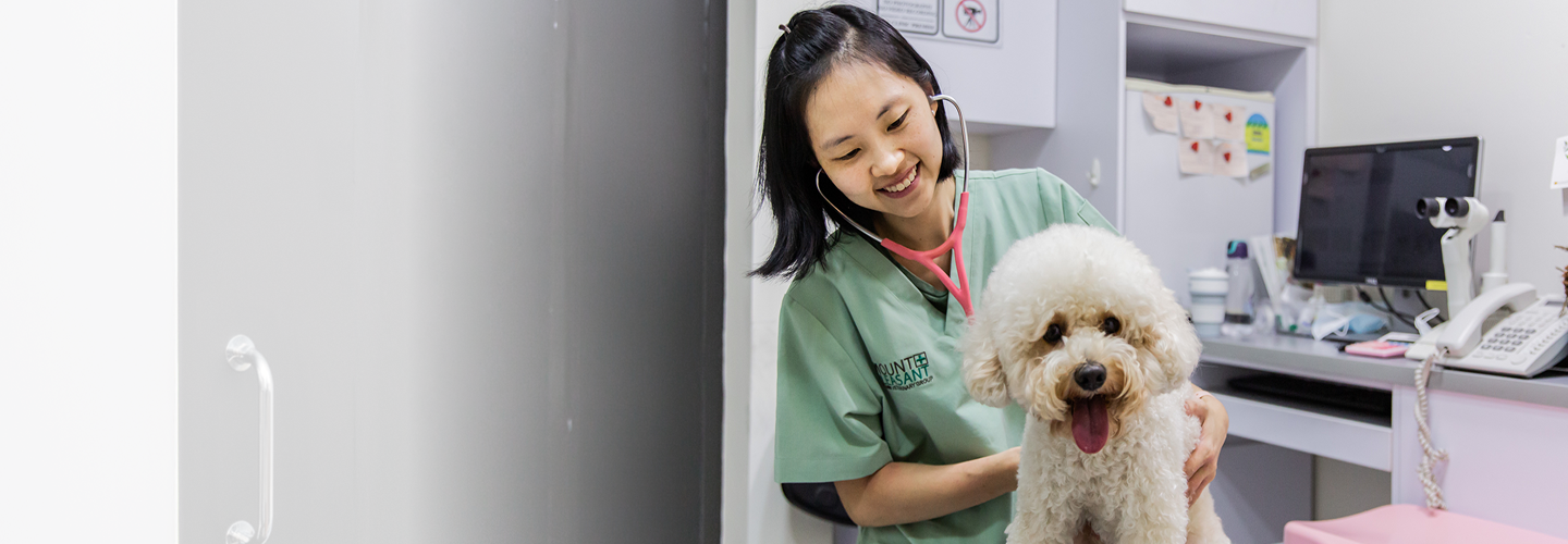Vet with pet