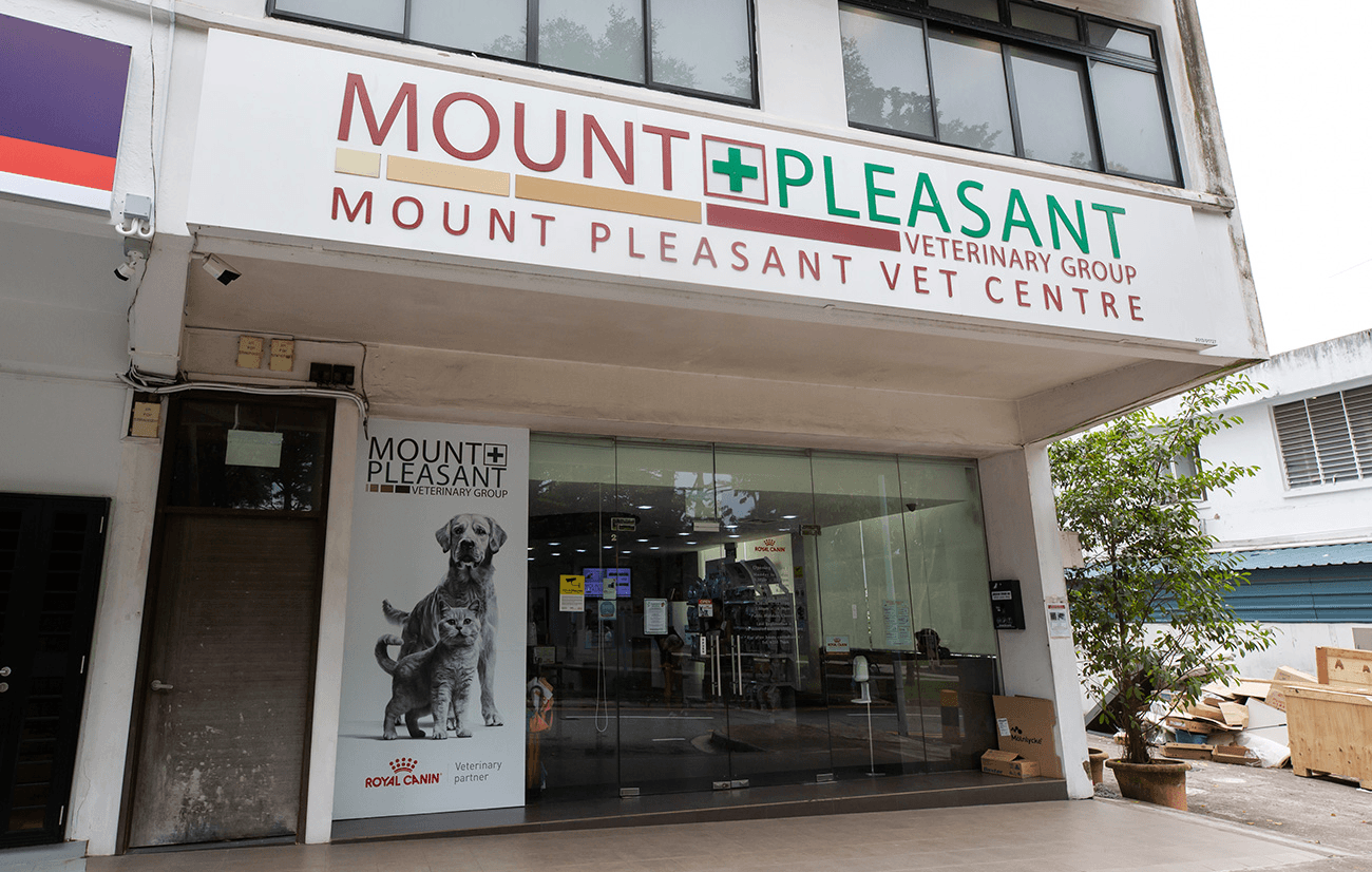 Hougang Vet - Mount Pleasant Gelenggeng Singapore
