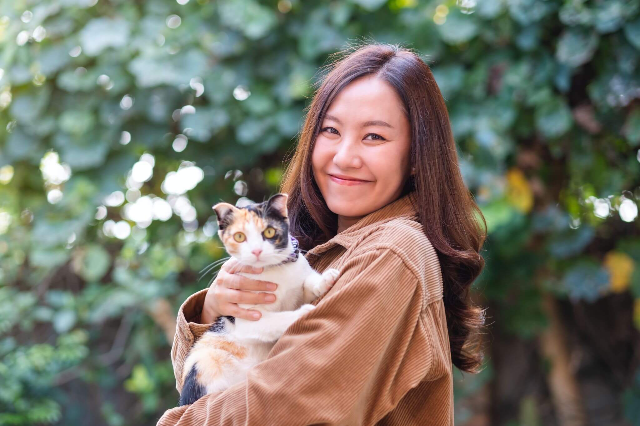 Microchip Cat - Mount Pleasant Singapore