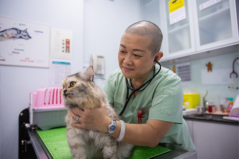Woodland Vet - Commitment to Pet Wellness & Lifelong Care