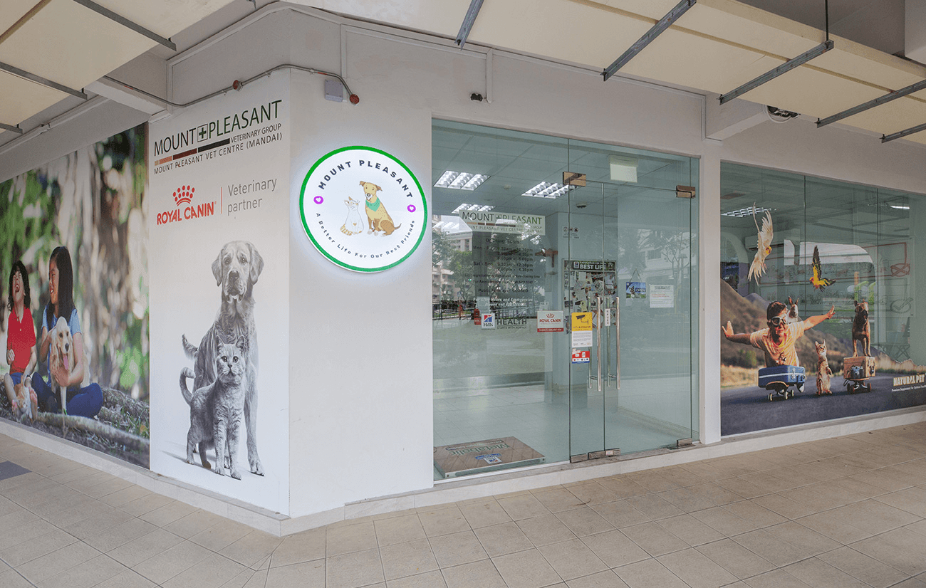 Woodland Vet - How to Visit Mount Pleasant Yishun